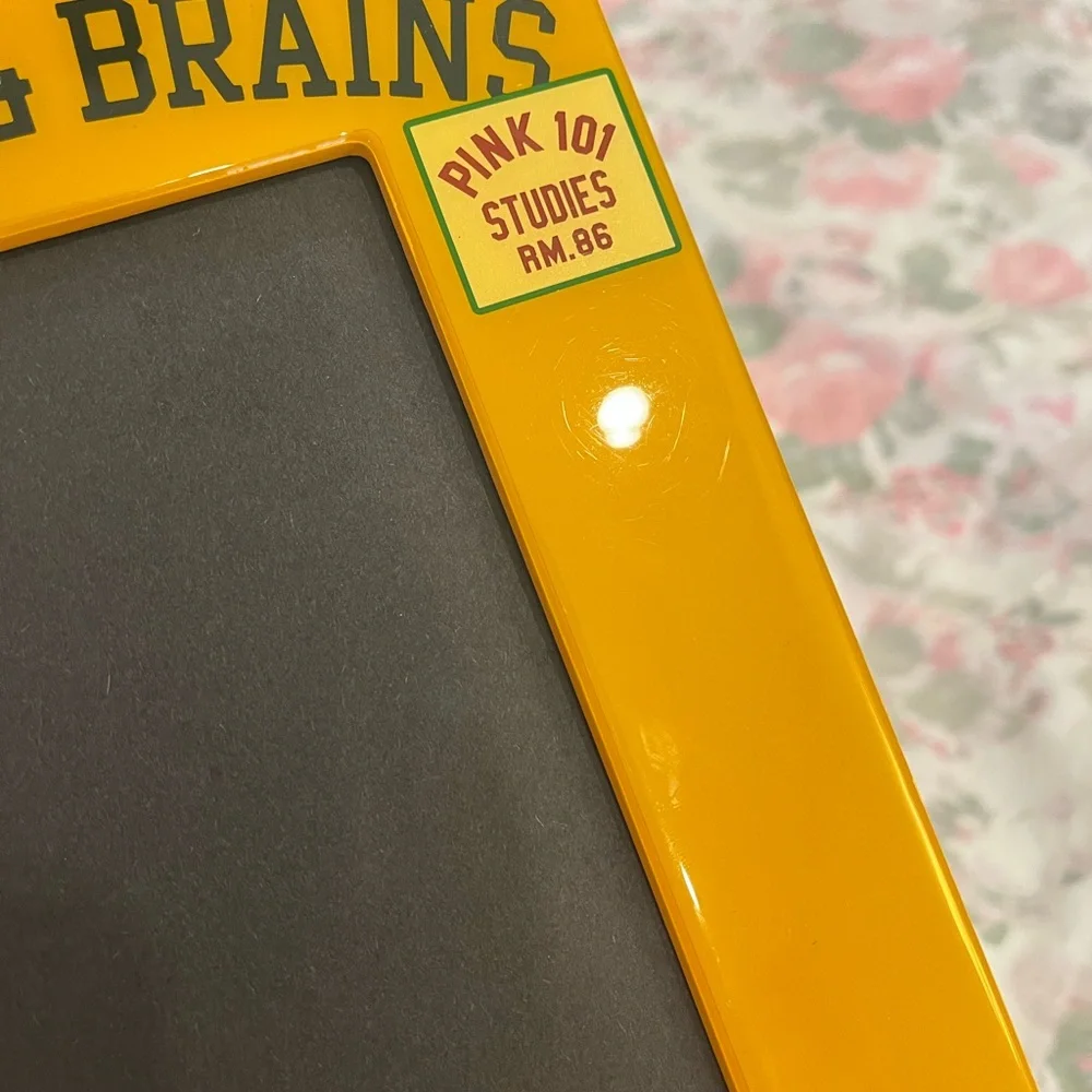 Victoria Secret PINK Beauty and Brains Vintage Picture Frame